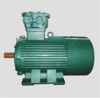 防爆電機啟動(dòng)前怎么檢查