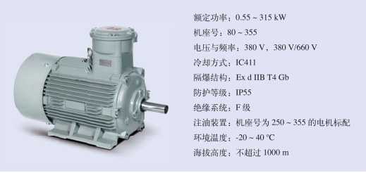 防爆電機銘牌各個(gè)參數的含義是什么