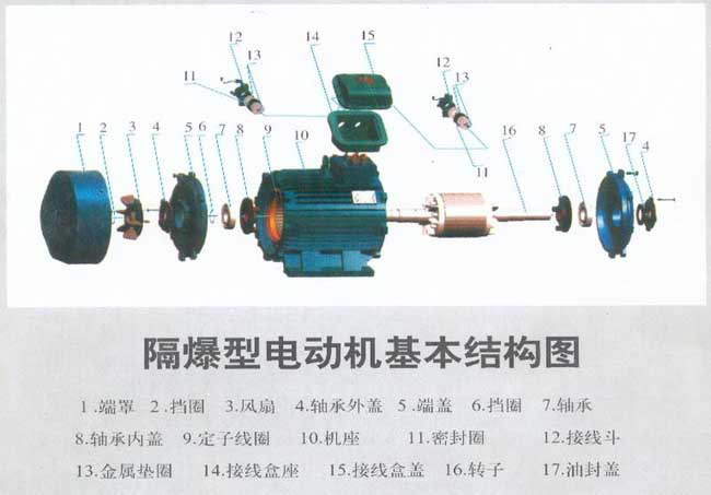 防爆電機結構圖解及接線(xiàn)實(shí)物圖